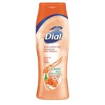 Dial Omega Moisture Body Wash