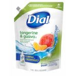 Dial Eco-Smart Hand Soap Refill Tangerine & Guava