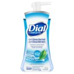 Dial Complete Antibacterial Foaming Hand Wash