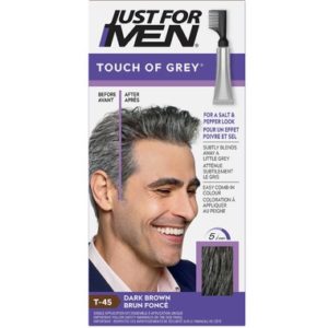 Just For Men Touch Of Grey