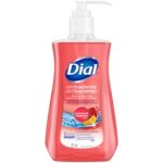 Dial Anti-Bacterial Hand Soap