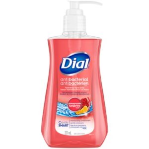 Dial Anti-Bacterial Hand Soap