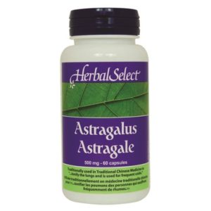 Herbal Select Astragalus Root